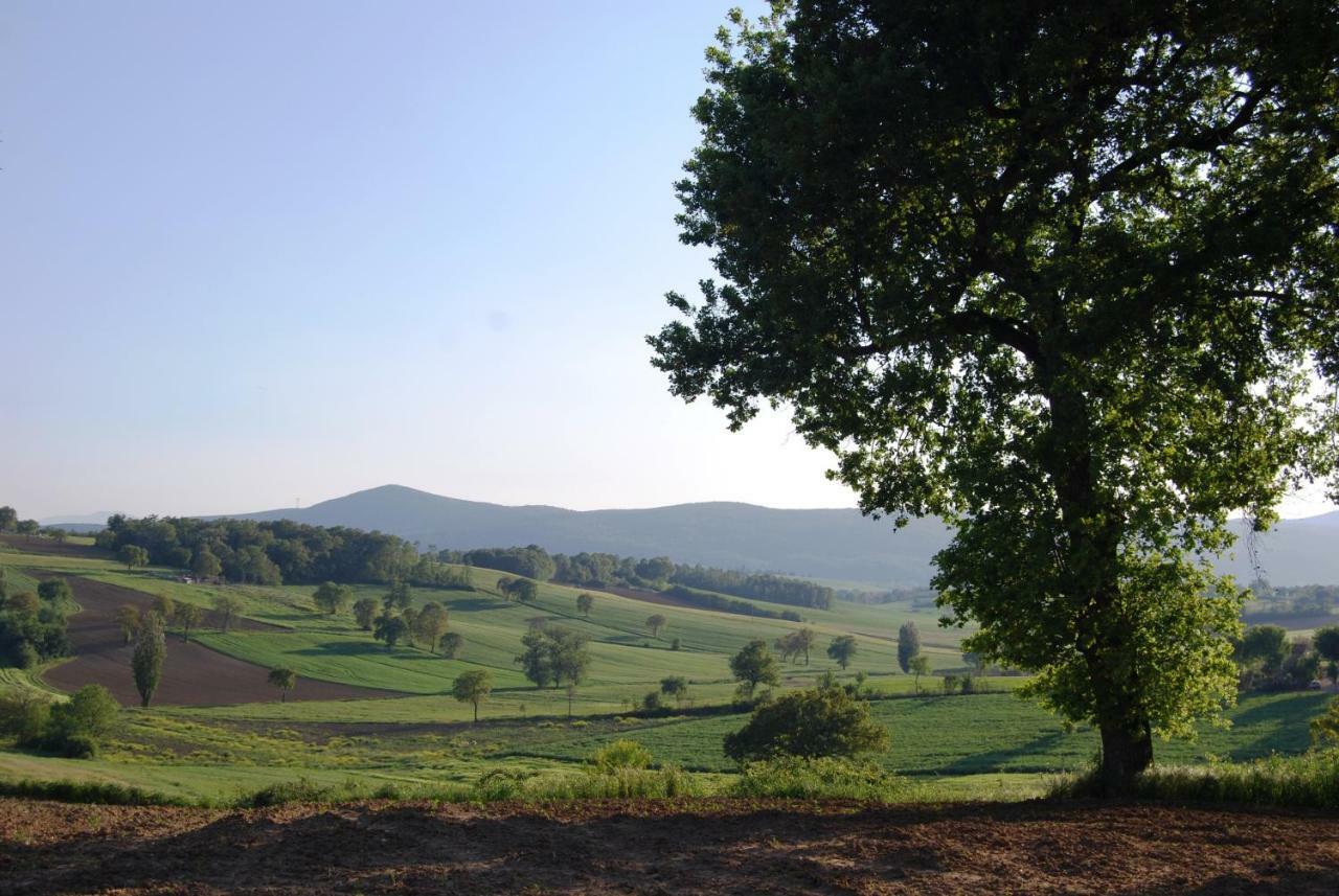 Bilocale Verde Umbria Montecastrilli Exterior photo