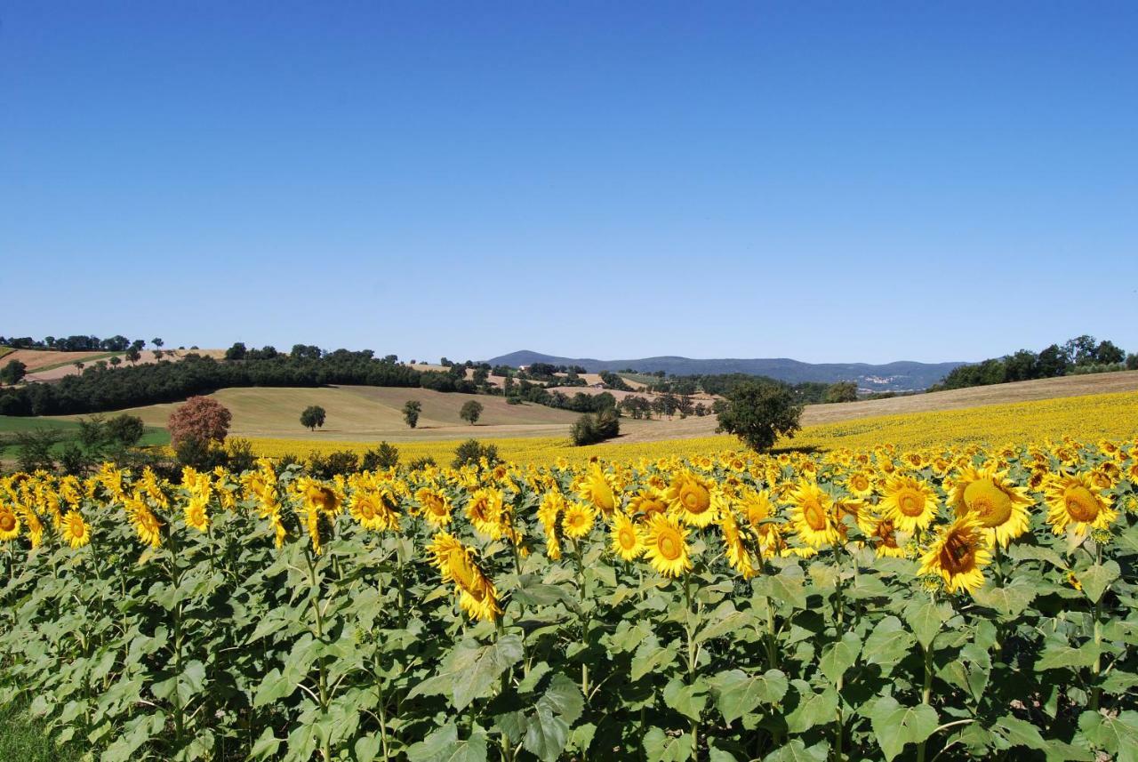 Bilocale Verde Umbria Montecastrilli Exterior photo